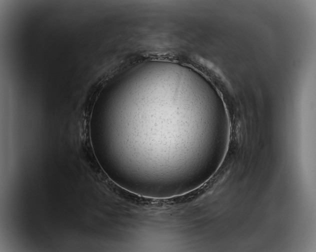 X0000088461350200705291523