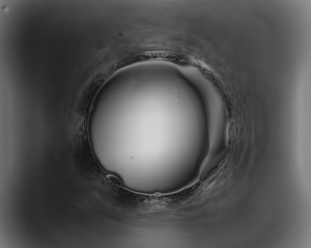 X0000088461351200705291523