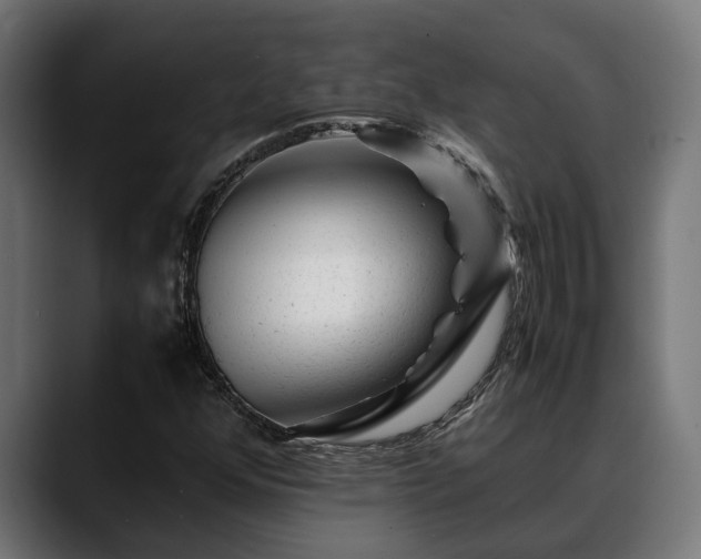 X0000088461352200705291523