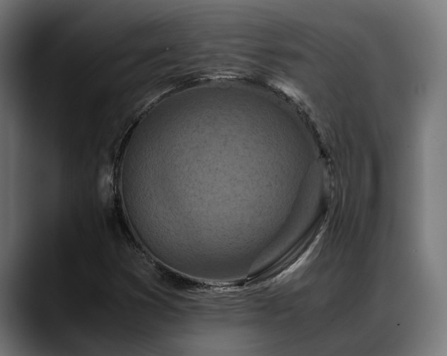 X0000088461353200705291523