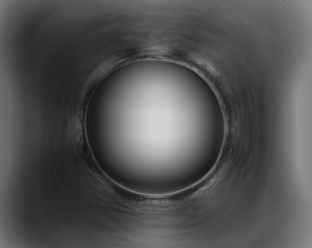 X0000088461354200705291523