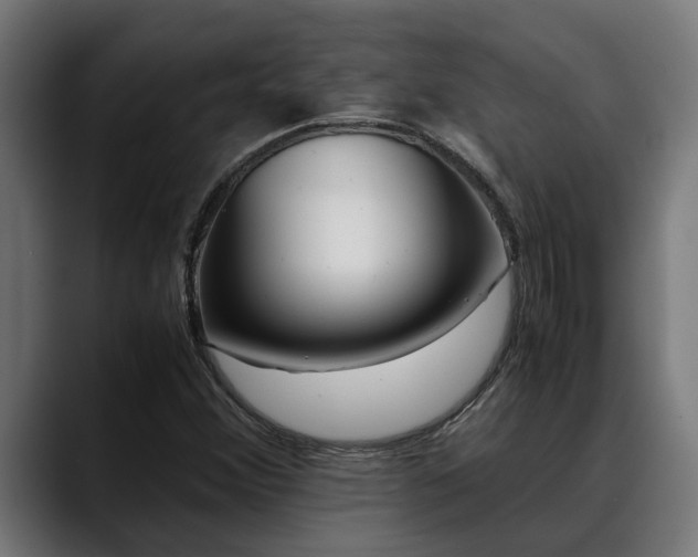 X0000088461356200705291523
