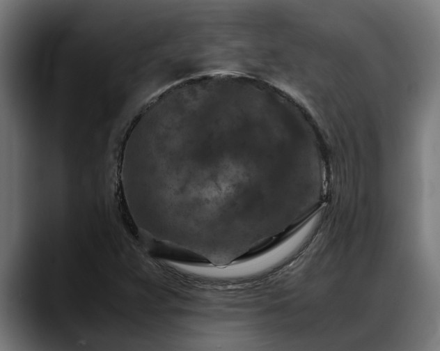 X0000088461359200705291523