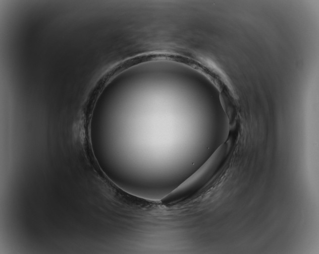 X0000088461360200705291523