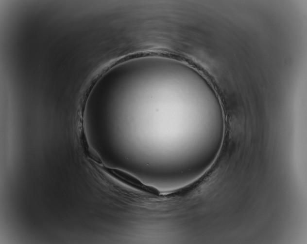 X0000088461363200705291523
