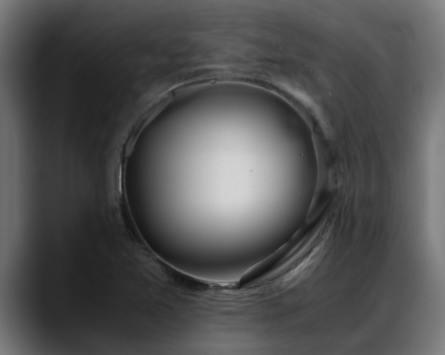 X0000088461365200705291523
