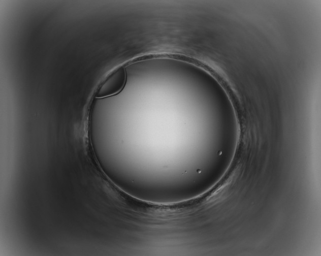 X0000088461366200705291523