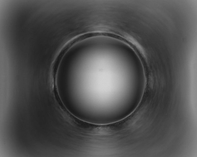 X0000088461368200705291523