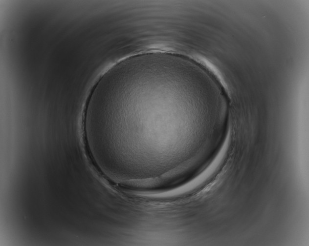 X0000088461373200705291523