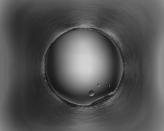 X0000088461374200705291523