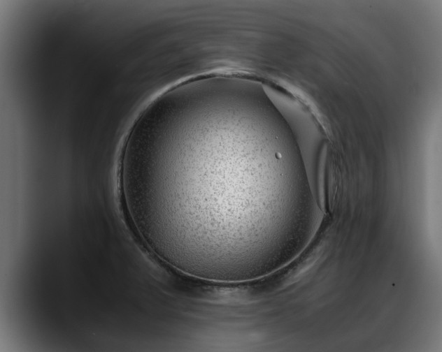 X0000088461375200705291523