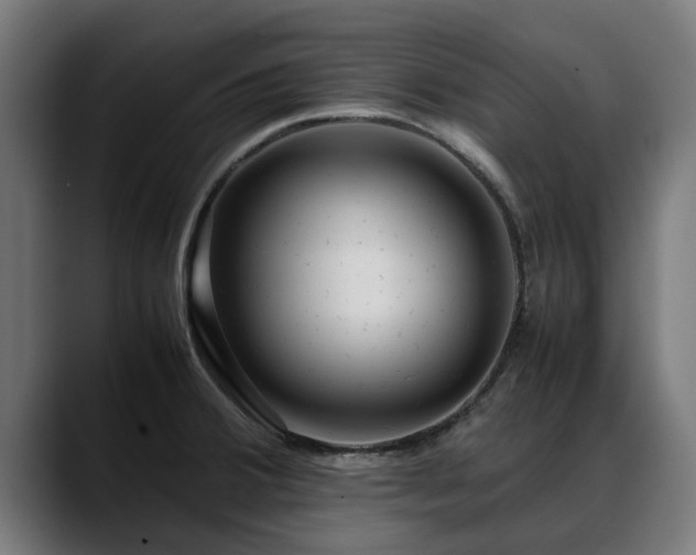 X0000088461380200705291523