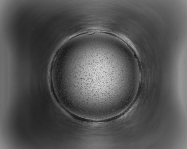 X0000088461381200705291523