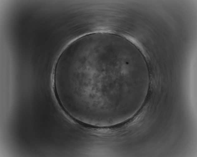 X0000088461383200705291523