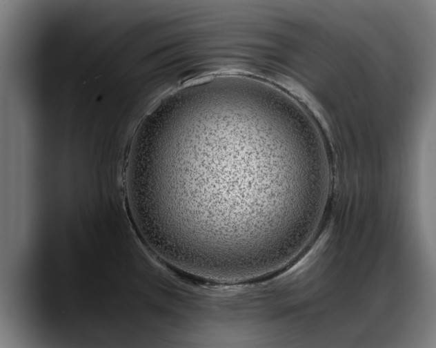 X0000088461385200705291523