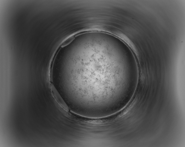 X0000088461388200705291523