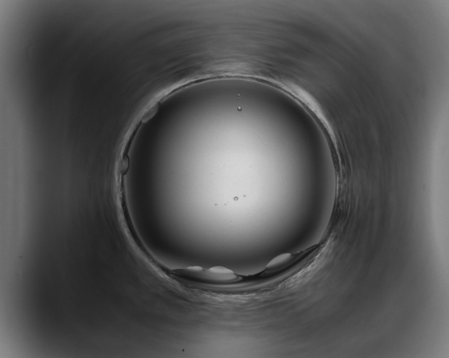 X0000088461389200705291523