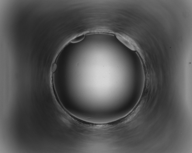 X0000088461390200705291522