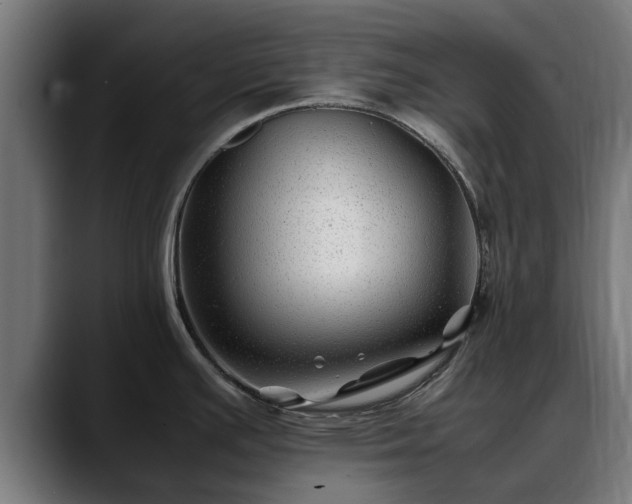 X0000088461391200705291522