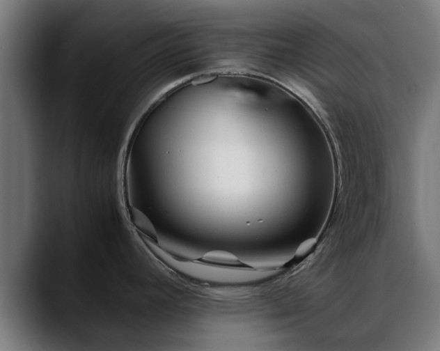 X0000088461392200705291522