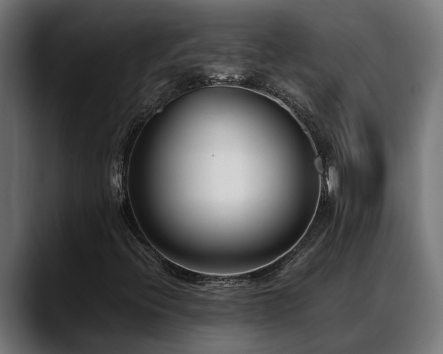 X0000088461396200705291522