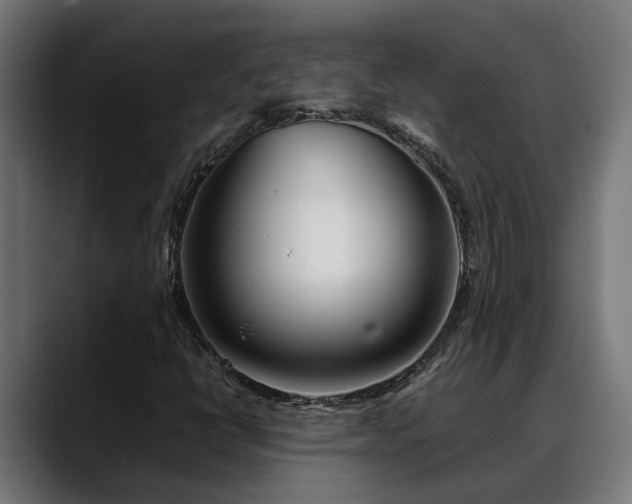 X0000088461398200705291522