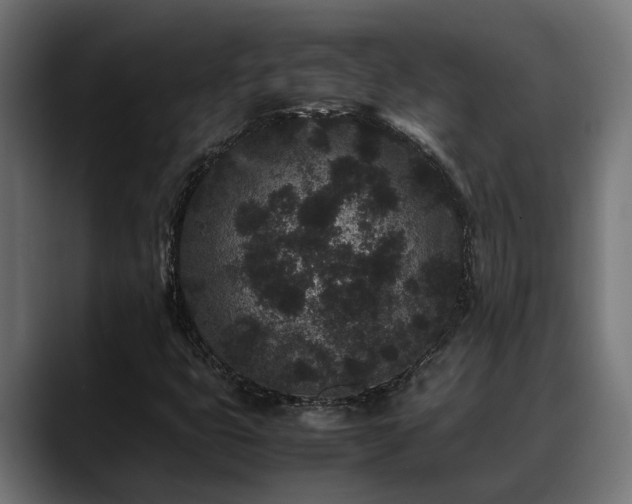 X0000088461399200705291522