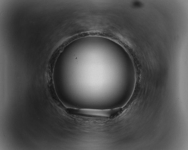 X0000088461400200705291522