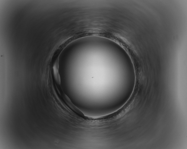 X0000088461402200705291522
