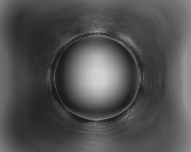 X0000088461404200705291522