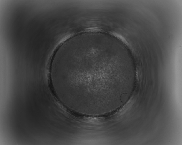 X0000088461405200705291522