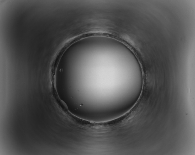 X0000088461408200705291522
