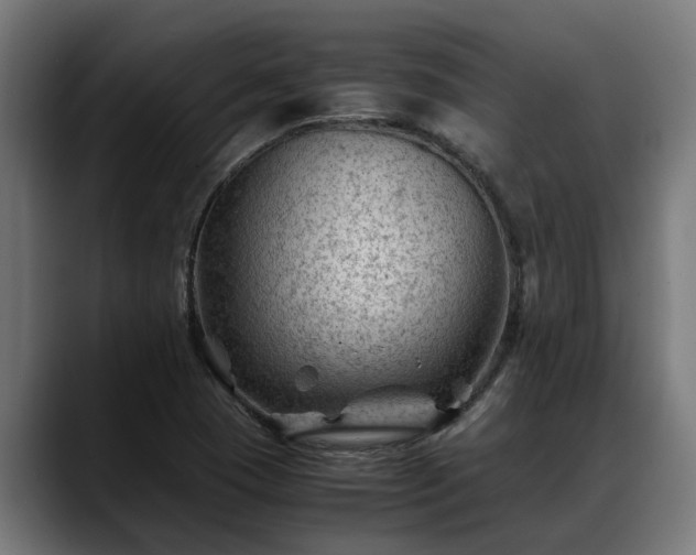 X0000088461409200705291522