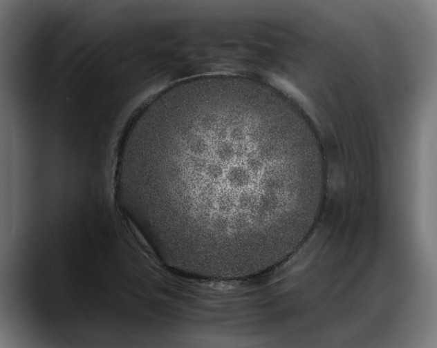 X0000088461411200705291522