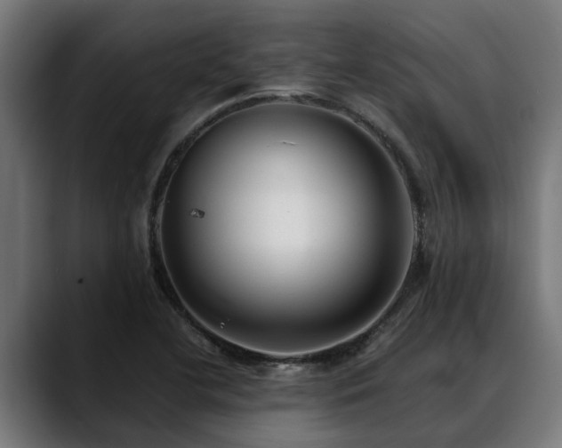 X0000088461412200705291522