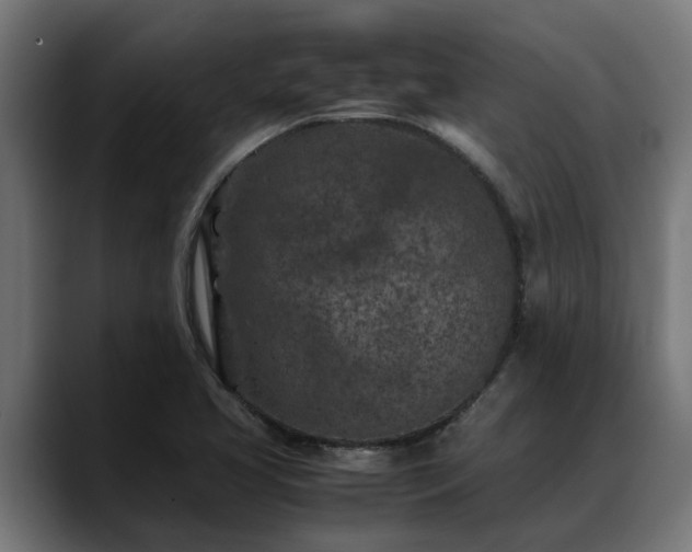 X0000088461413200705291522