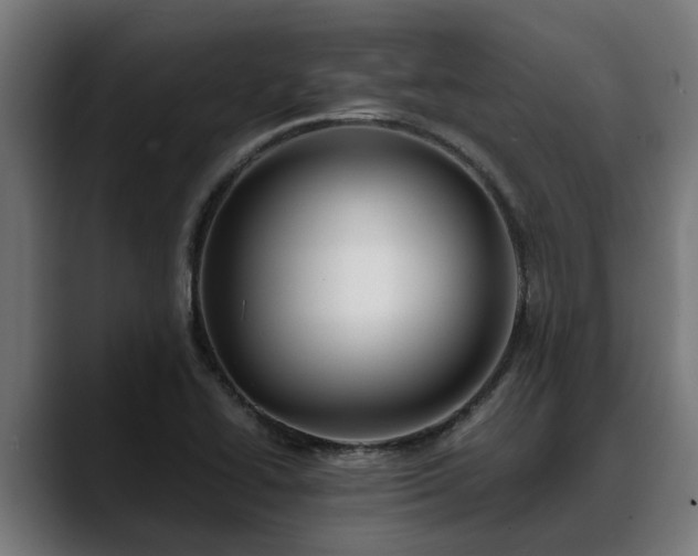 X0000088461414200705291522