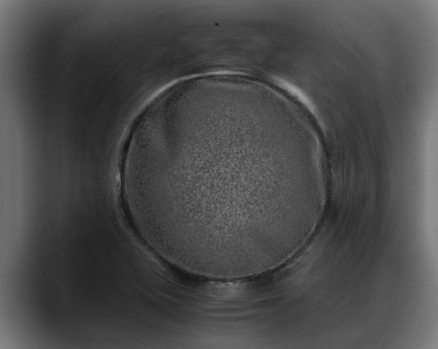 X0000088461415200705291522