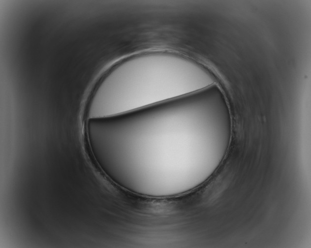 X0000088461416200705291522