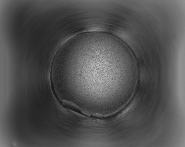 X0000088461417200705291522