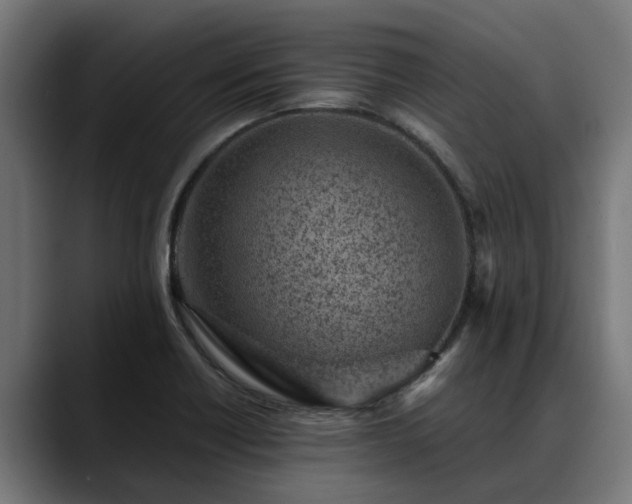 X0000088461418200705291522