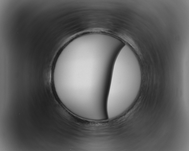 X0000088461420200705291522