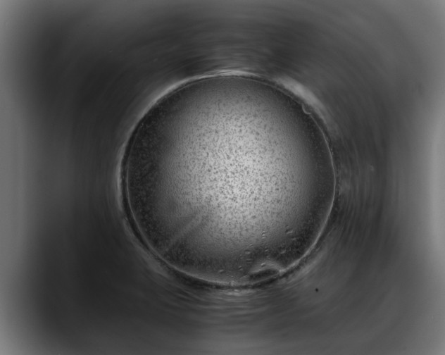 X0000088461423200705291522