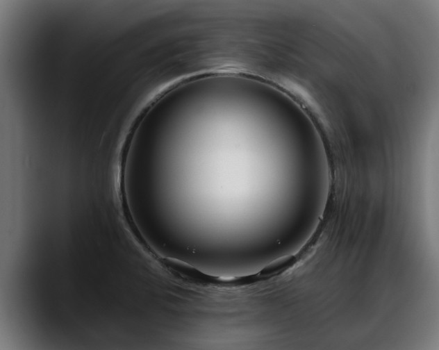 X0000088461424200705291522