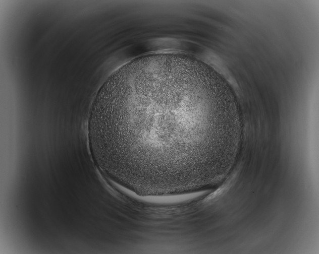 X0000088461425200705291522
