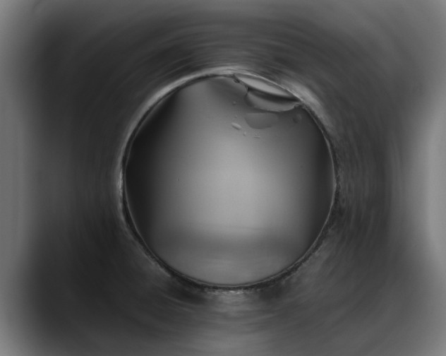 X0000088461428200705291522