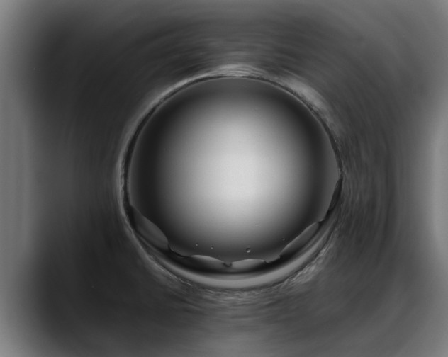 X0000088461430200705291522