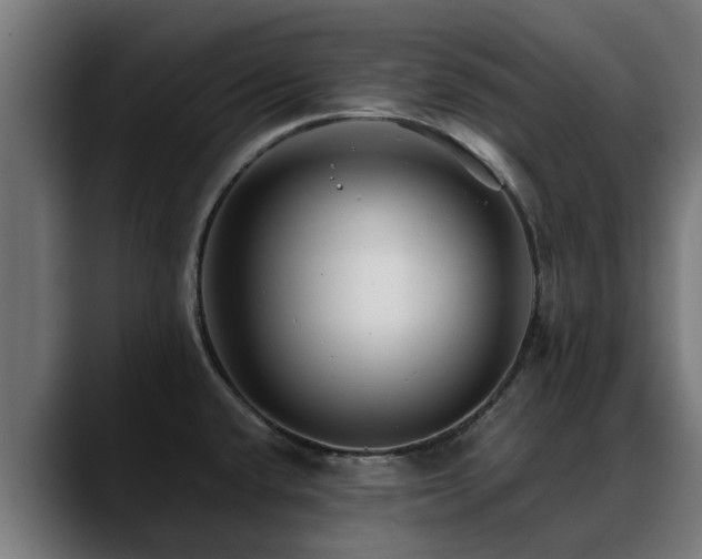 X0000088461432200705291522