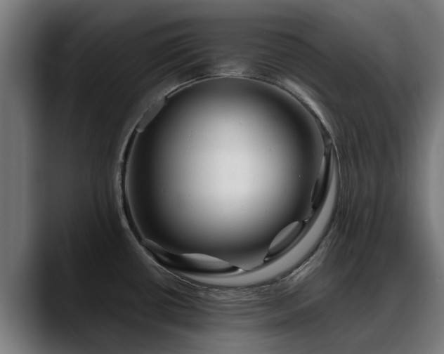 X0000088461434200705291522