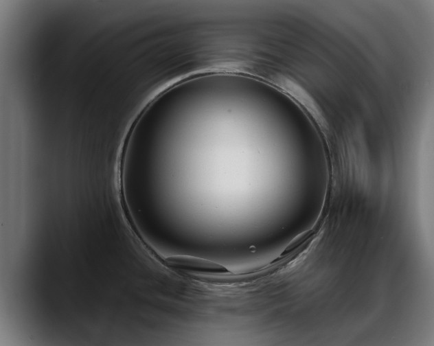 X0000088461436200705291522